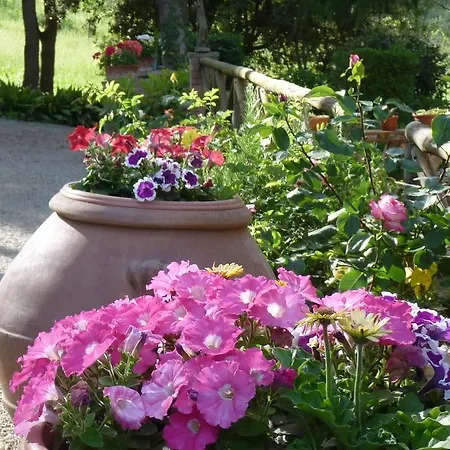 Antico Podere Il Bugnolo Casa di campagna *