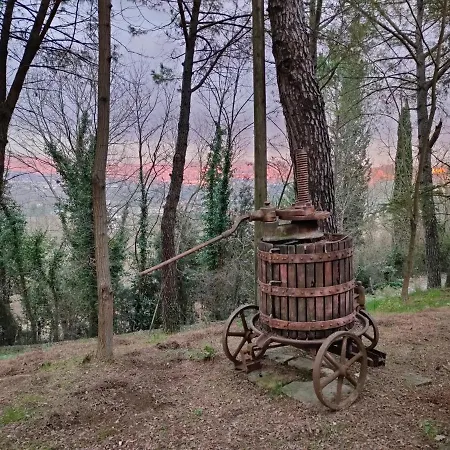 컨트리하우스 Antico Podere Il Bugnolo *